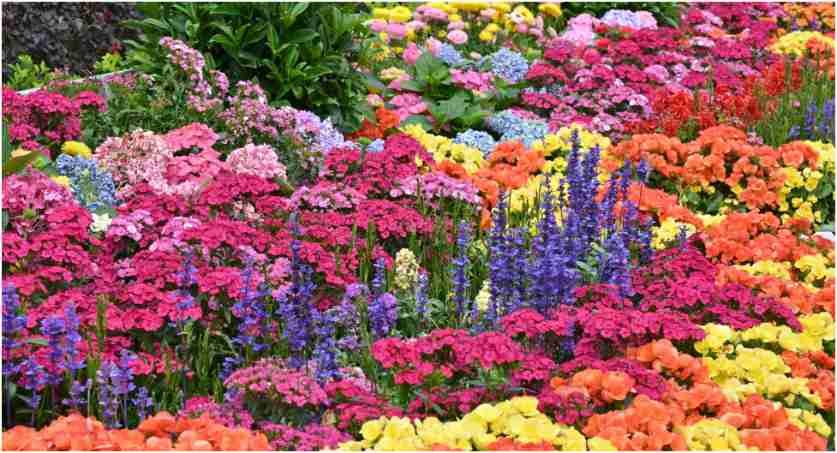 Spring florals